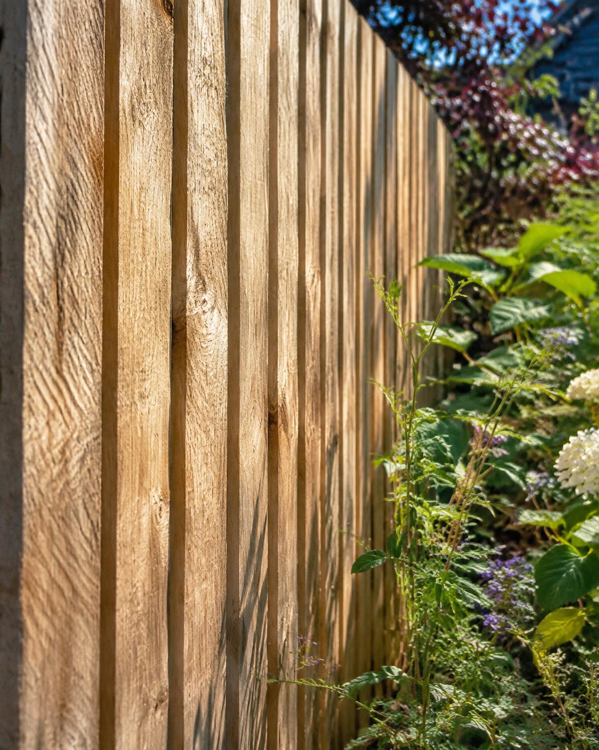 Feather Edge fencing